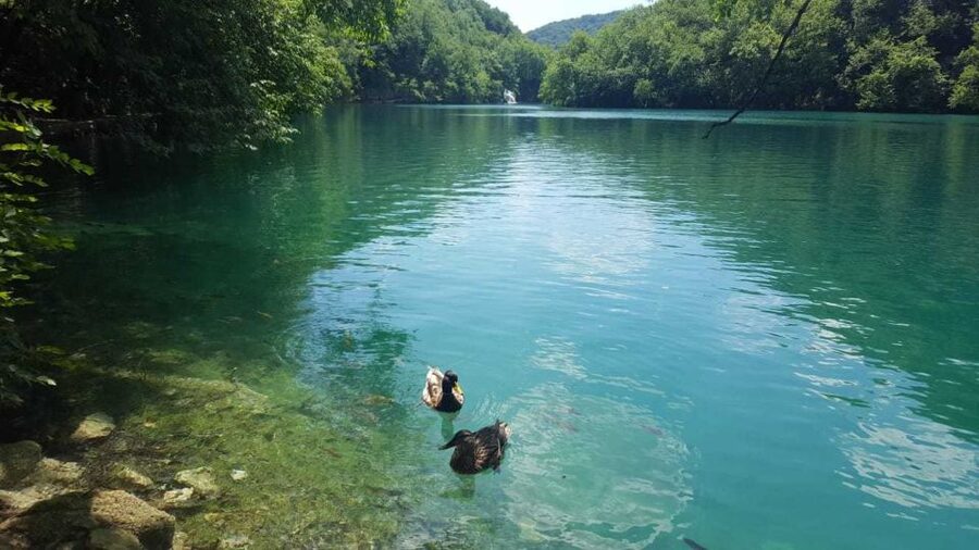 Zagreb to Split: Private Transfer with Plitvice Lakes - Price and value: what $559 per person buys you