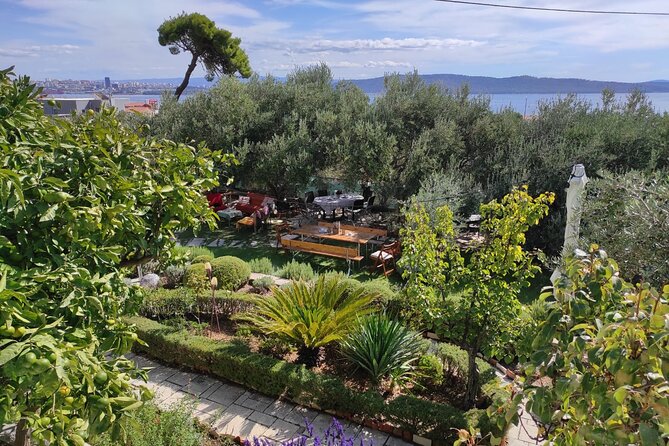 Zinfandel Wine Tasting & Storytelling with Dalmatian Food - Price and value: is $178.84 per person fair?